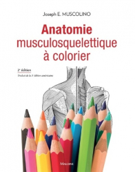 Dernières parutions dans , Anatomie musculosquelettique à colorier 