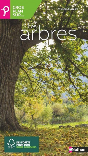 La Vie secrète des arbres, édition illustrée