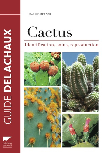 Rocaille de cactus en extérieur : le guide complet – Cactus Encyclo