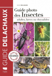 Dernières parutions dans , Guide Delachaux photo des insectes 