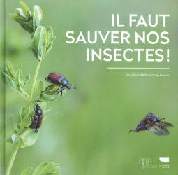Dernières parutions dans , Il faut sauver nos insectes 