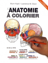 Dernières parutions dans , L'anatomie à colorier 