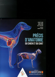 Precis D Anatomie Du Chien Et Du Chat Med Com