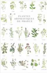 Affiche Plantes aromatiques de France