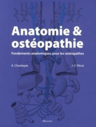 Anatomie et ostéopathie