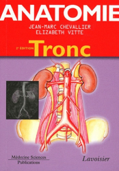 Anatomie 1 Tronc