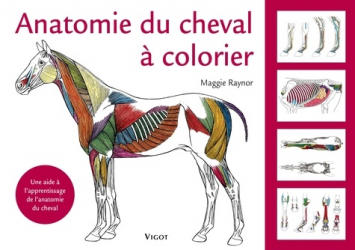 Vous recherchez les meilleures ventes rn Équitation, Anatomie du cheval à colorier
