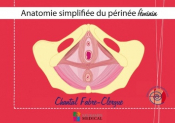 Anatomie simplifiée du périnée féminin
