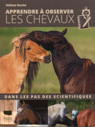 Apprendre à observer les chevaux