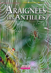 Araignées des Antilles