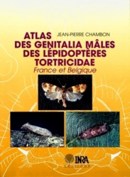 Atlas des genitalia mâles des lépidoptères tortricidae