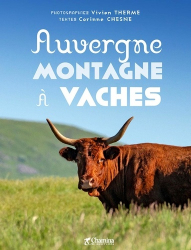 Auvergne montagne à vaches