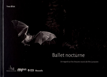 Ballet nocturne