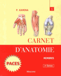 Carnet d'anatomie 1