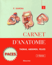 Carnet d'anatomie 3