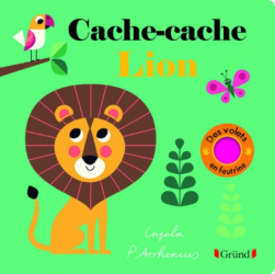 Cache-cache Lion