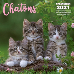 Calendrier Chatons
