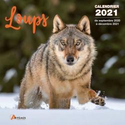 Calendrier Loups