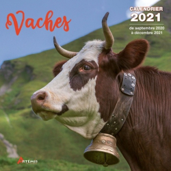 Calendrier Vaches