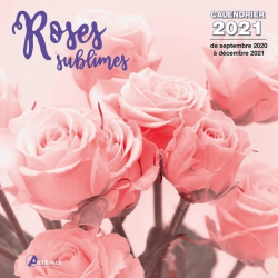 Calendrier Roses sublimes