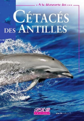 Cétacés des Antilles