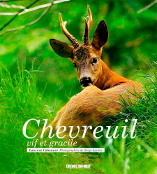 Chevreuil