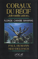 Coraux du récif, identification : Floride, Caraïbe, Bahamas
