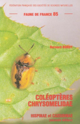 Coléoptères Chrysomelidae
