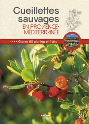 Cueillettes sauvages en Provence Méditerranée