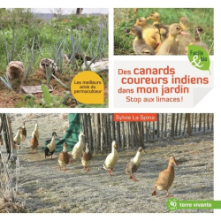 Vous recherchez les meilleures ventes rn Végétaux - Jardins, Des canards coureurs indiens dans mon jardin