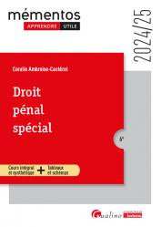 Droit pénal spécial 2024-2025