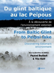 Du glint baltique au lac Peïpous