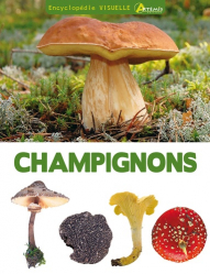 Meilleures ventes de la Editions artemis : Meilleures ventes de l'éditeur, Encyclopédie visuelle des champignons