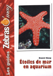 Étoiles de mer en aquarium