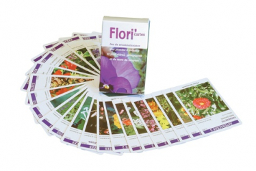 Flori'cartes. Jeu de reconnaissance des plantes à massifs et jardinières, grimpantes et de terre de bruyère - Avec 62 cartes à jouer