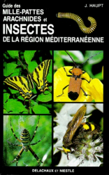 Guide des mille-pattes, arachnides et insectes de la région méditerranéenne