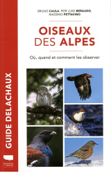 Guide Delachaux Oiseaux des Alpes