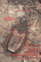 Hémiptères Aradidae, Piesmatidae et Dipsocoromorphes