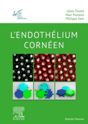 L'endothélium cornéen