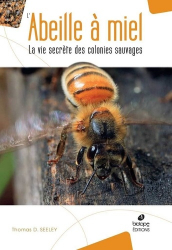 L'abeille à miel