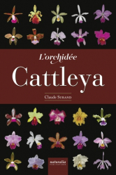 L’orchidée Cattleya