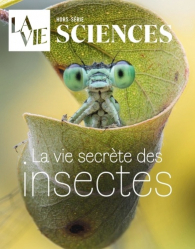 La vie secrète des insectes