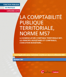 La comptabilité publique territoriale