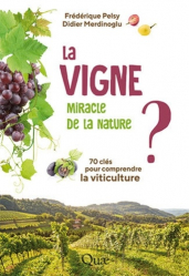 La vigne, miracle de la nature 