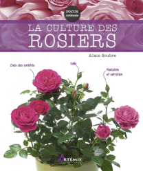La culture des rosiers