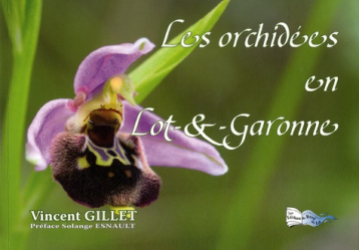 Les orchidées en Lot et Garonne