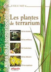 Les plantes de terrarium Vol 4