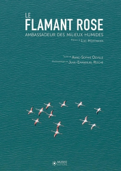 Le Flamant rose,  ambassadeur des zones humides