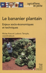 Le bananier plantain