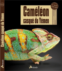 Le Caméléon casqué du Yémen